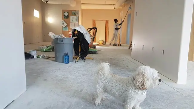 Renovate Before Or After Move In1 Renovate Before Or After Move In1