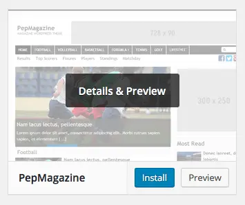 wp-install-theme