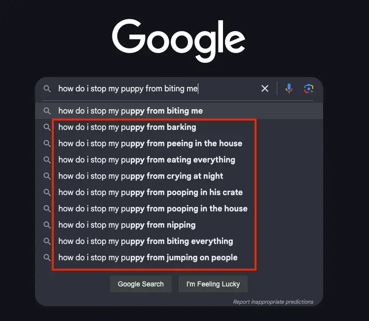 Google suggested search for "how do i stop my puppy from biting me"