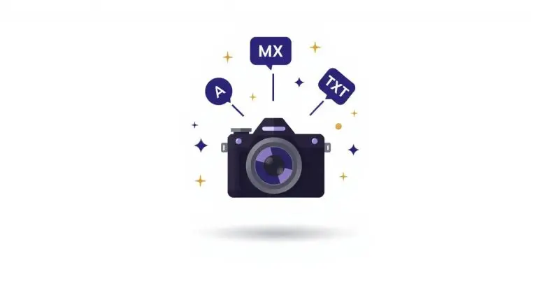 A camera taking a snapshot of DNS records