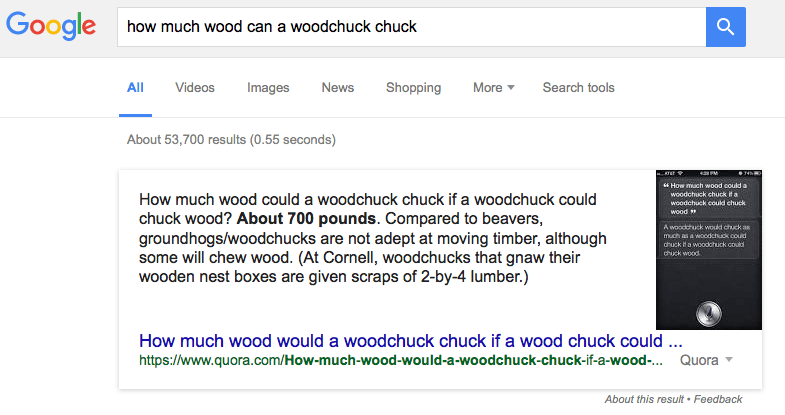 search result for: how much wood can a woodchuck chuck
