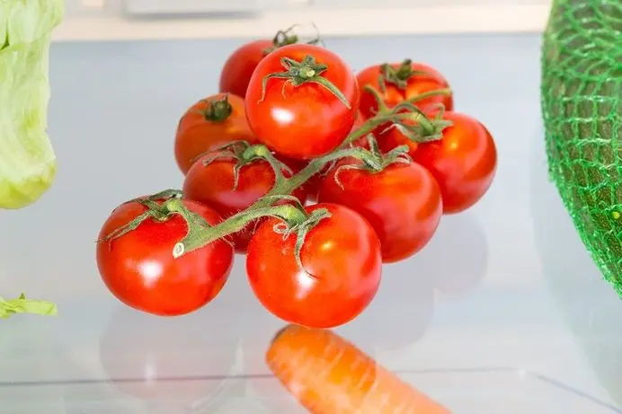 Tomatoes in the fridge
