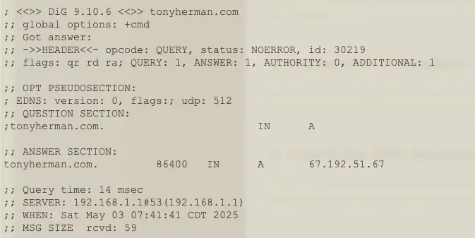 Using the Terminal app on a Mac to do a dig on a domain name