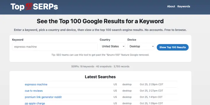 Top100SERPs.com screen shot.