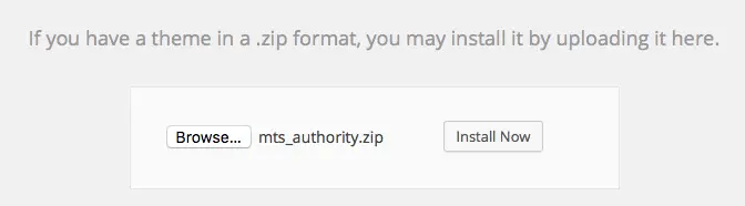 wp-install-theme