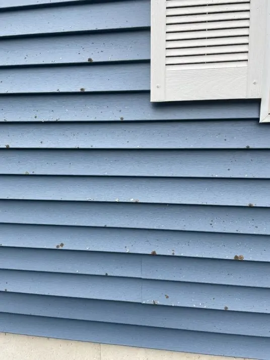 House and Roof Cleaning in Bolton Landing, NY