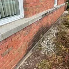 Commercial Building and Roof Cleaning in Queensbury, NY
