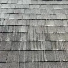 Commercial Building and Roof Cleaning in Queensbury, NY