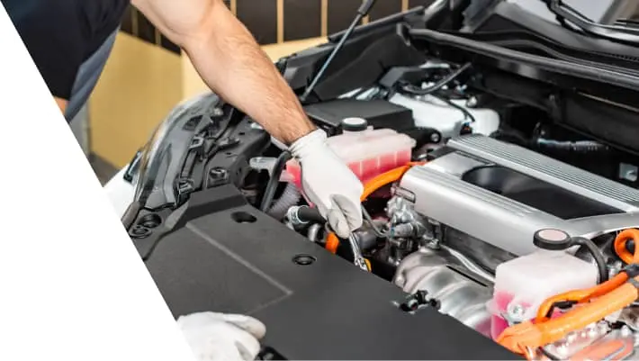 Factory Recommended Maintenance