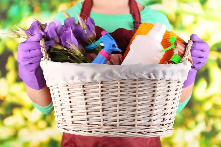 Fabulously Clean Boise families recurring cleaning