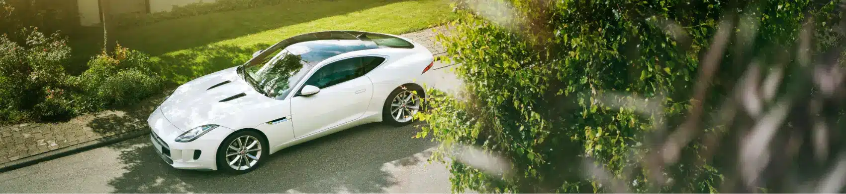 Jaguar Repair in Alpharetta, GA