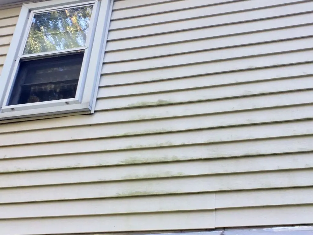 siding replacement mold on siding