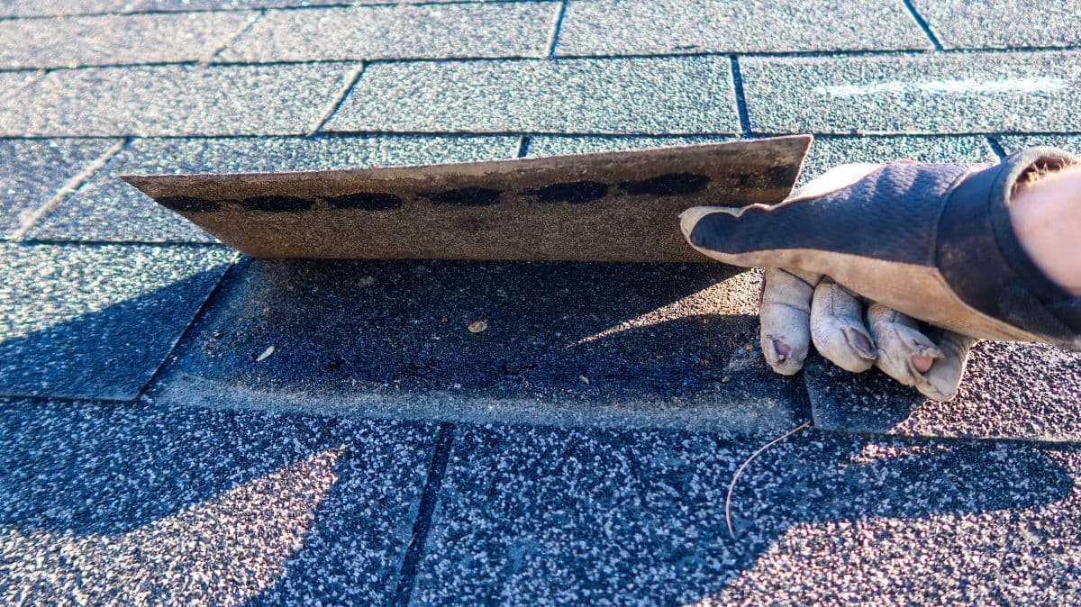 what is included in a full roof replacement in holly springs nc glove inspecting under shingle