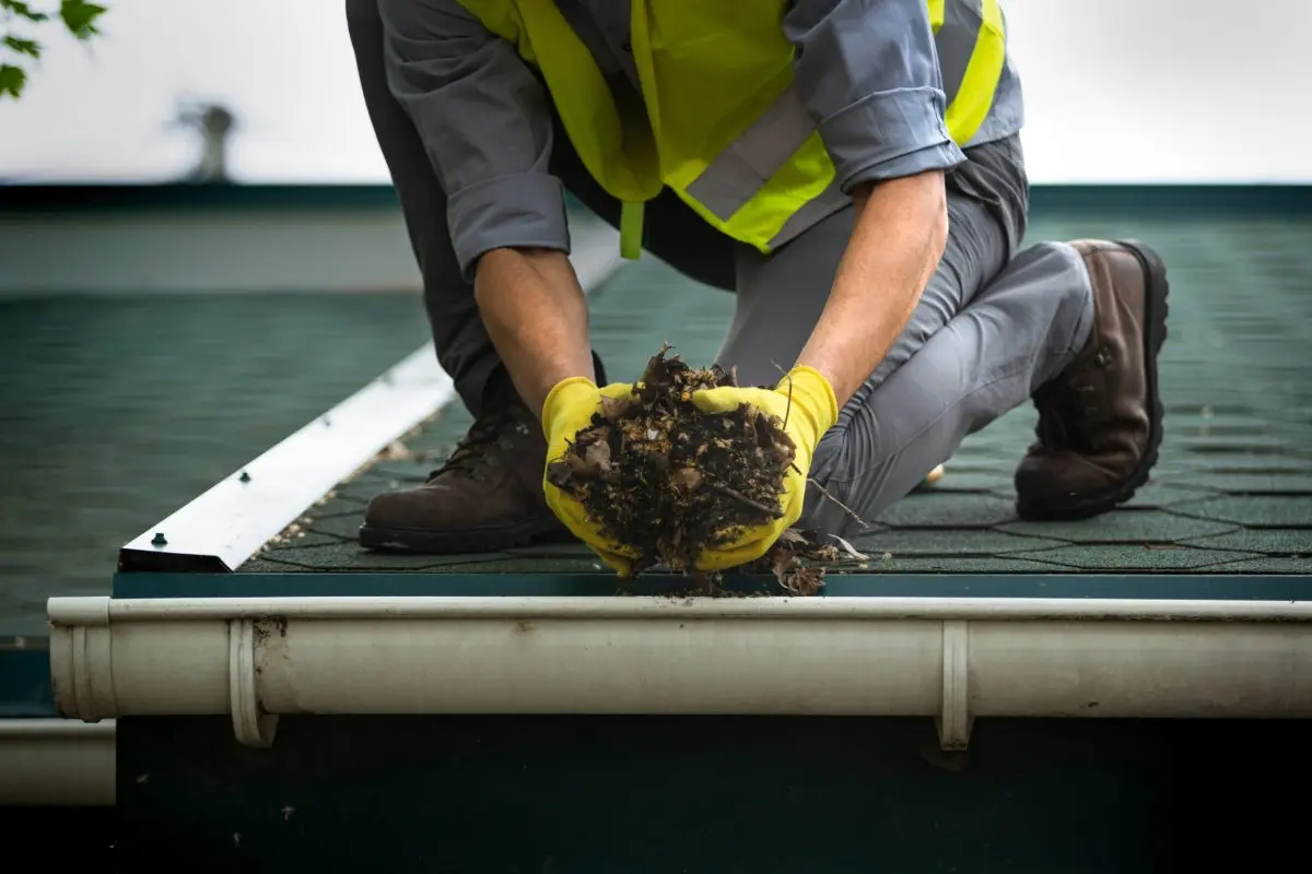 gutters pinehurst nc A man worker is cleaning a clogged roof gutter from dirt, debris and fallen leaves to prevent water and let rainwater drain properly.