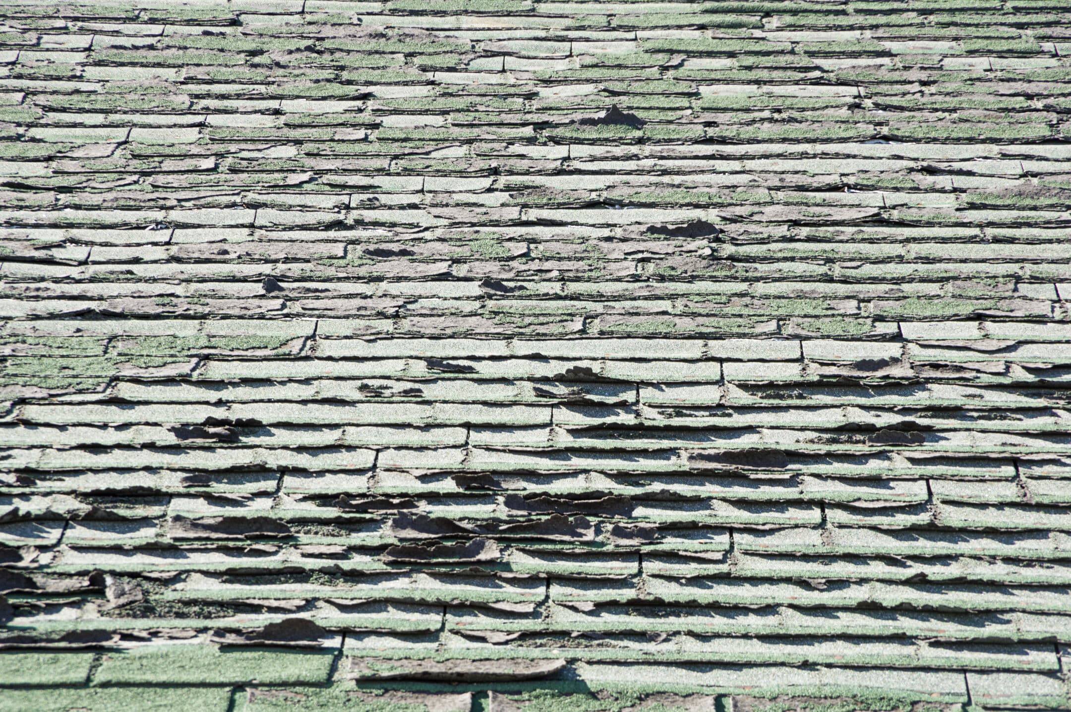 old green roof