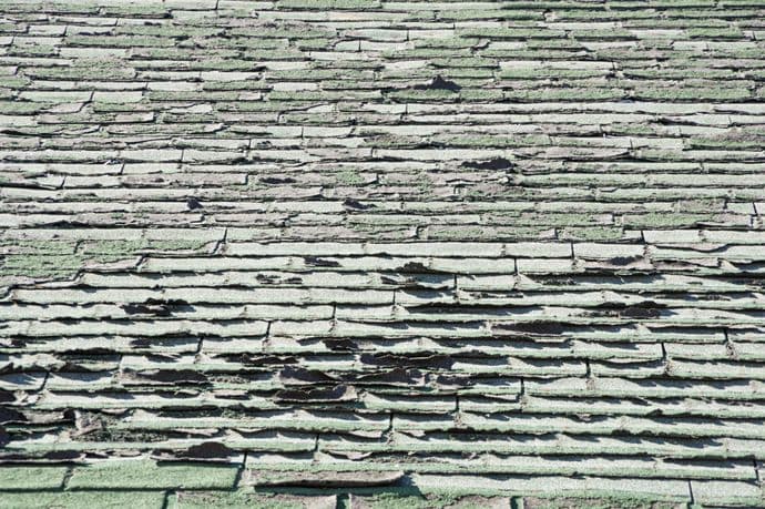 old green roof