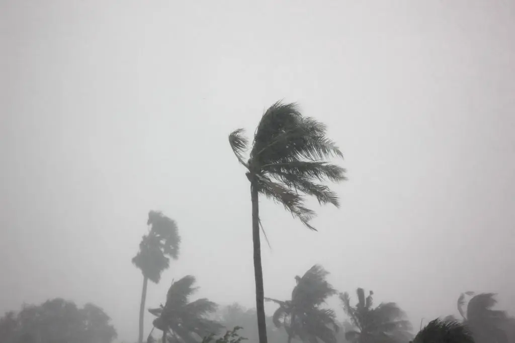 how to prepare a roof for hurricane season hurricane 