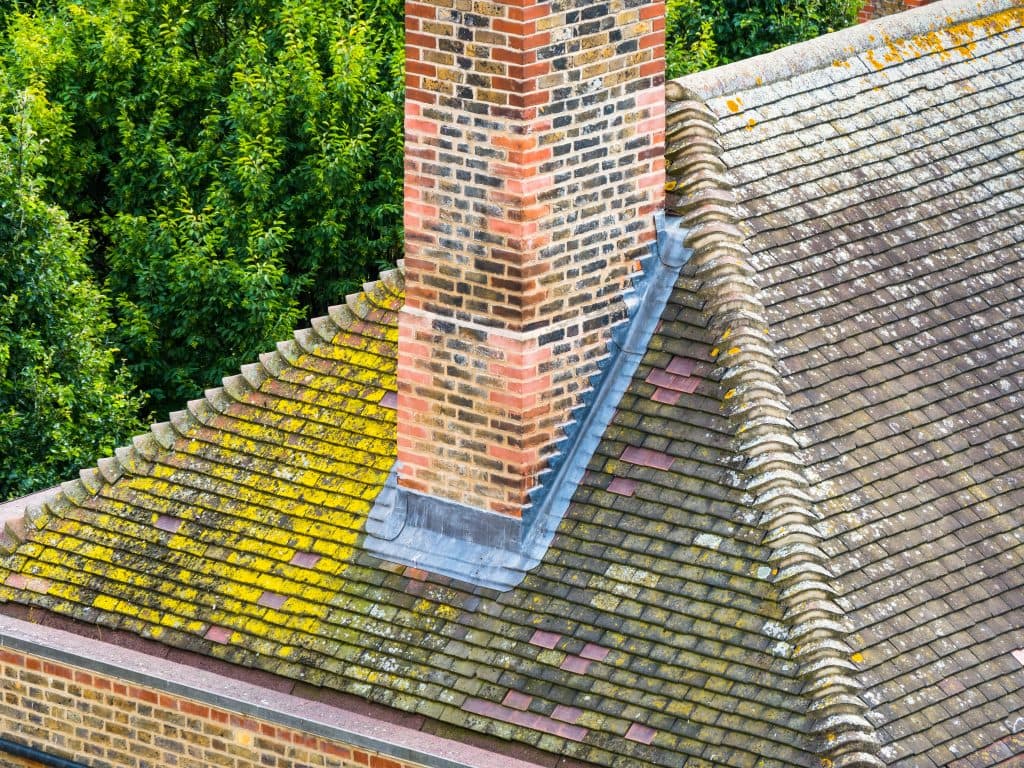 old roof with moss