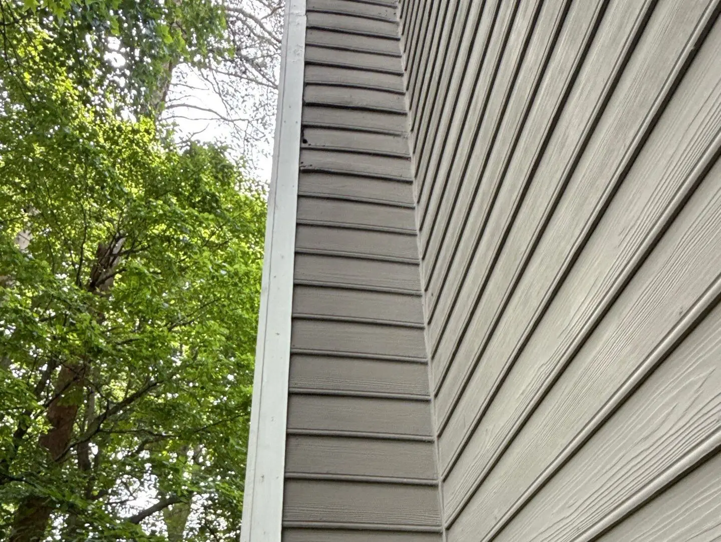 siding knightdale nc beige siding close up