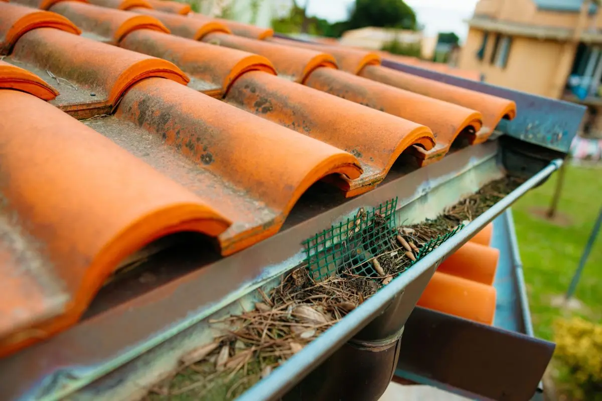 gutters holly springs nc orange tiles