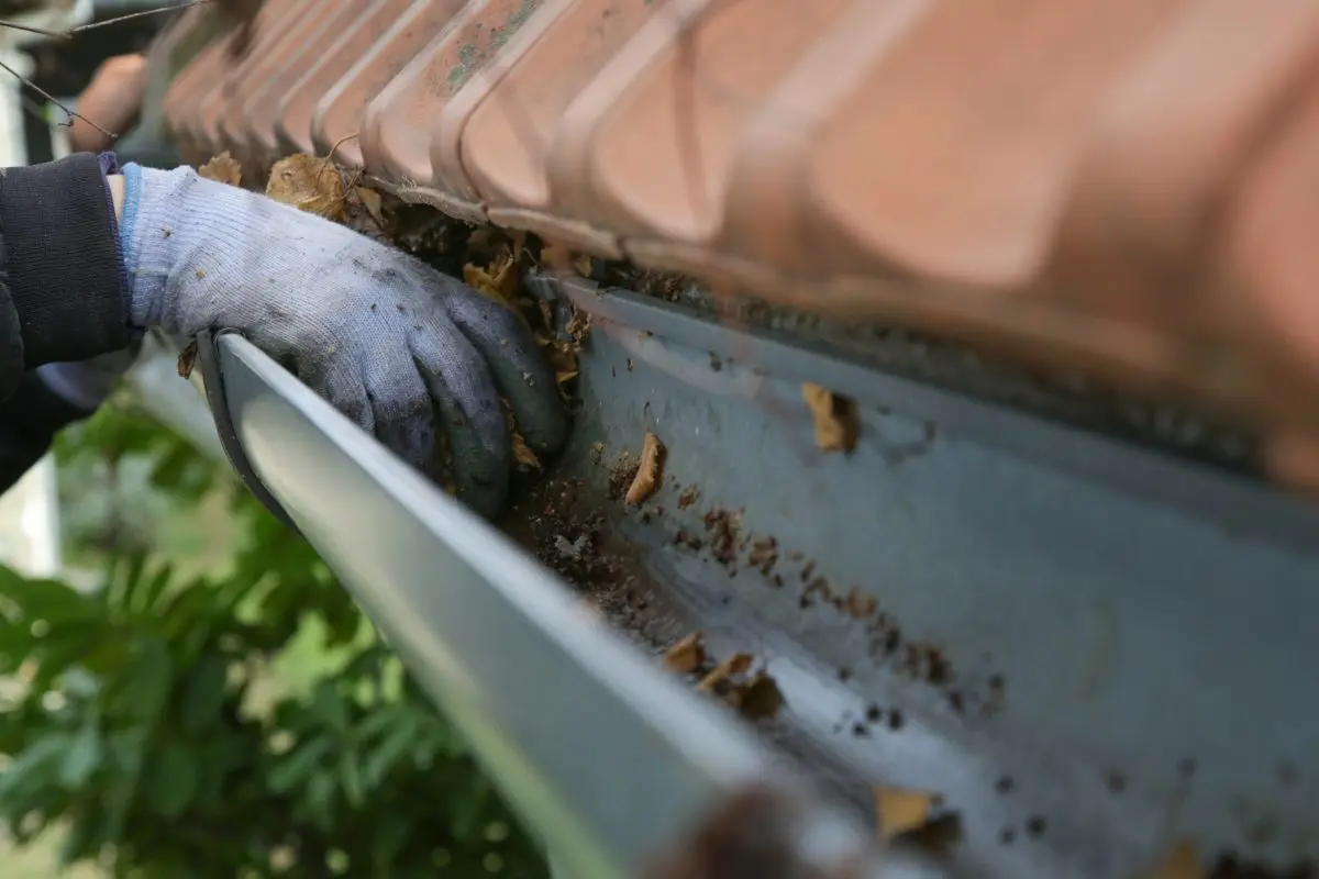 gutters durham nc glove cleaning gutter