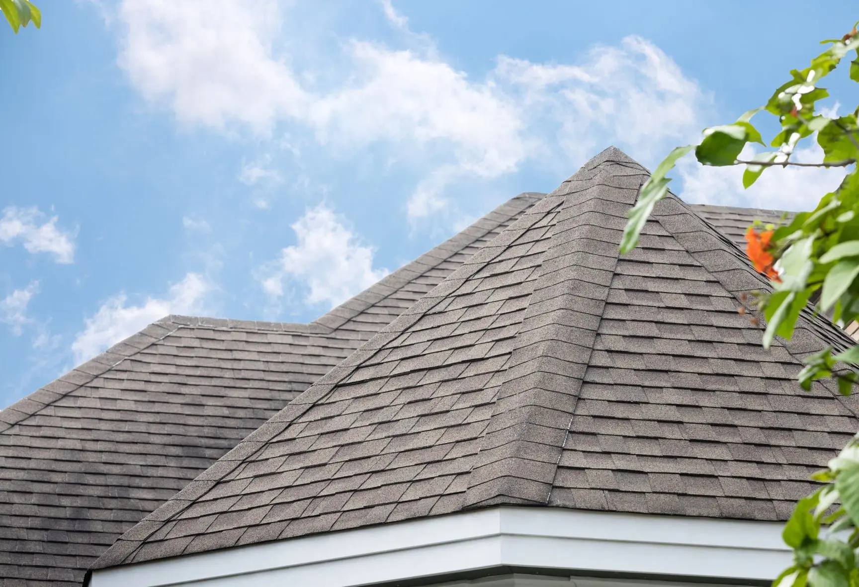 raleigh roof