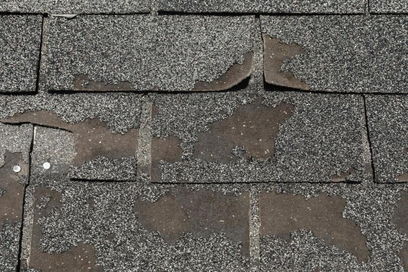 granule loss on shingles