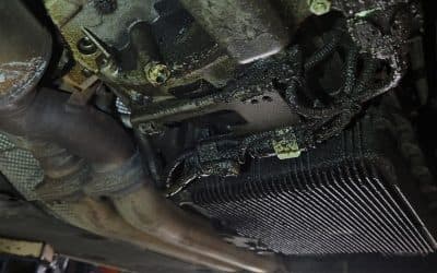 How Often Does My BMW Need an Oil Change?