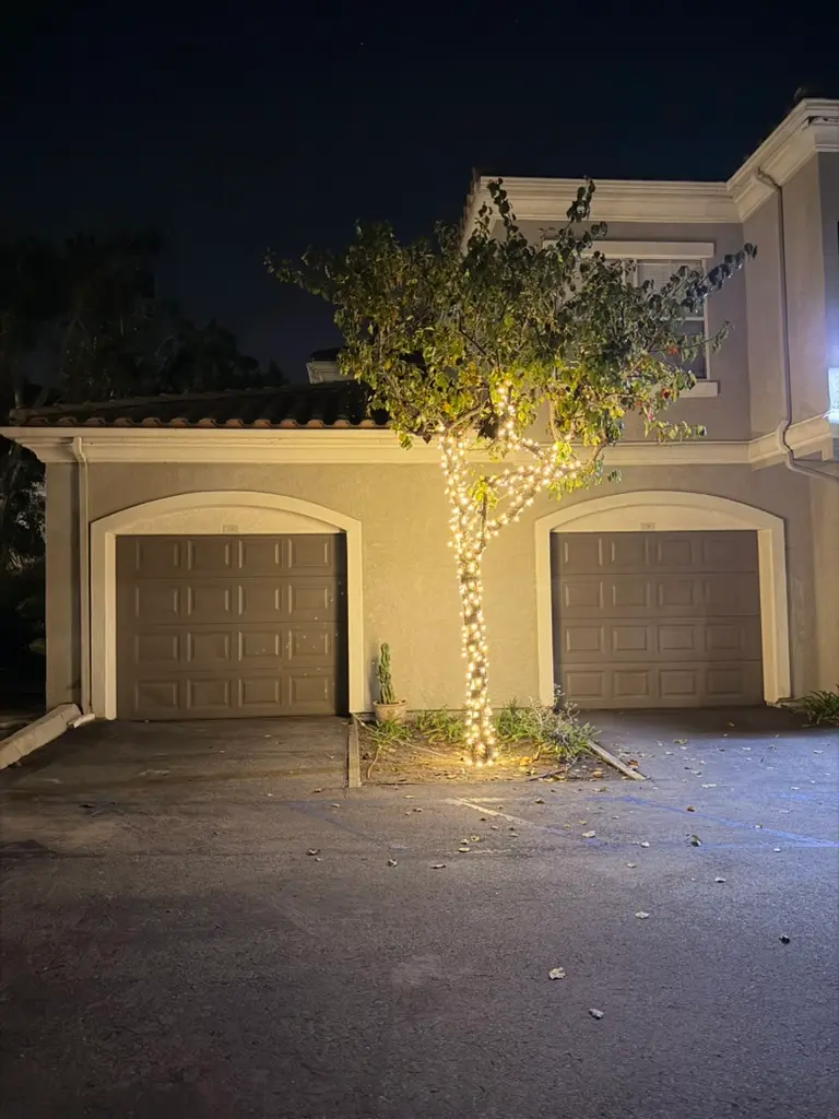 Christmas Light Installation Carlsbad, CA