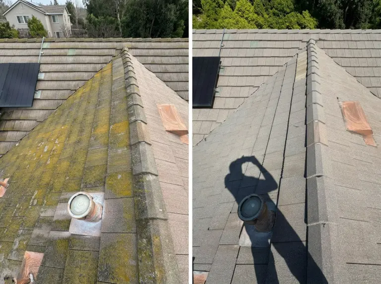 Roof Cleaning Carlsbad, CA