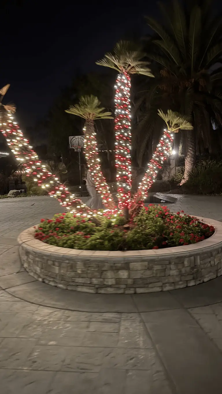 Christmas Light Installation Carlsbad, CA
