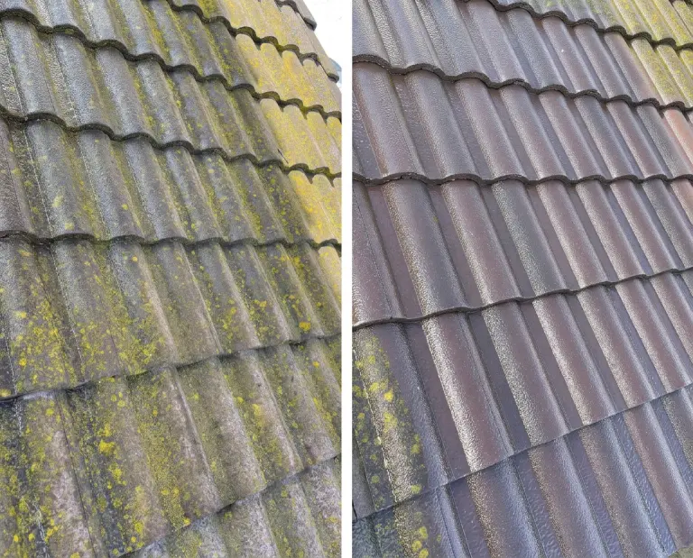 Roof Cleaning Carlsbad, CA