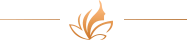 logo gradient lines