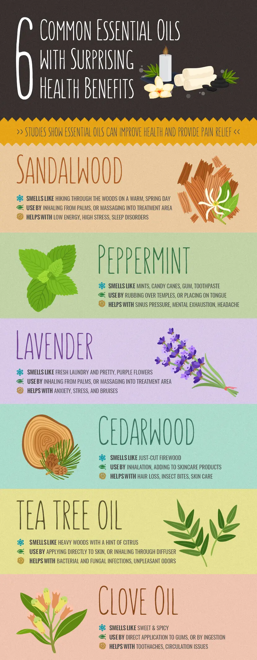 DHPM-6-essential-oils-infographic - Dynamic Health Carolinas essential oils infographic