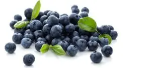 blueberries on white background for weight loss