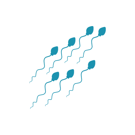 Sperm