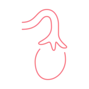 Are You Eligible for a Tubal Ligation Reversal Surgery? NCCRM Fertility Quiz.