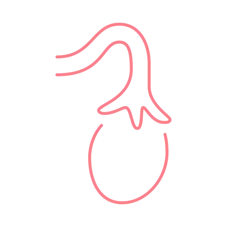 Are You Eligible for a Tubal Ligation Reversal Surgery? NCCRM Fertility Quiz.