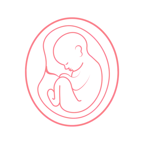What To Do When You Achieve Pregnancy