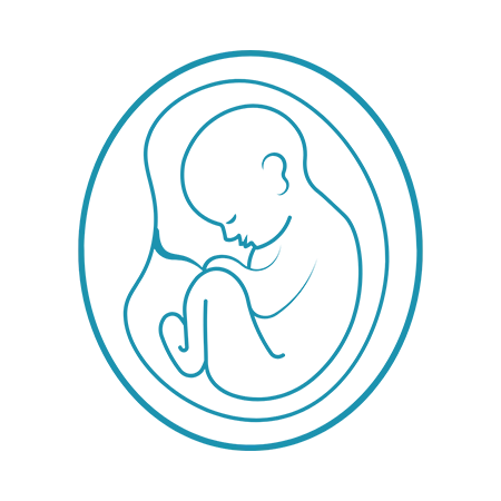 Embryo