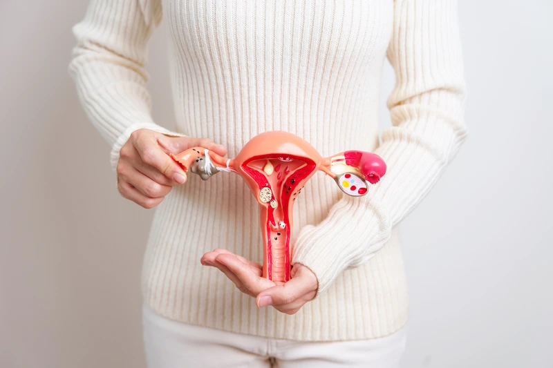 Intrauterine Insemination (IUI) - NCCRM Intrauterine Insemination (IUI)