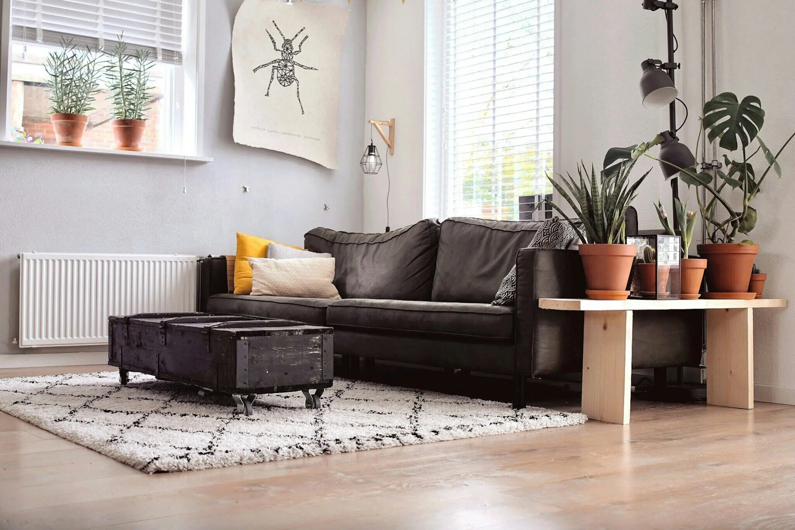 Wayne’s Best House Cleaning: A Cleaner Home, Every Time