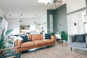 Move-In Cleaning Tips in Boca Raton, clean house with leather sofa, plants