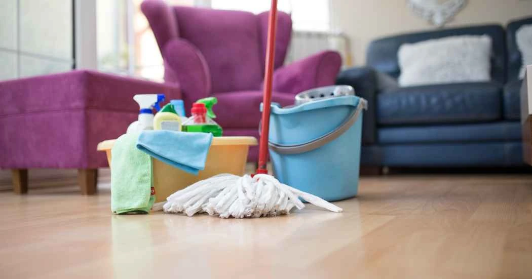 house cleaning in Manayunk PA by Executive Maids