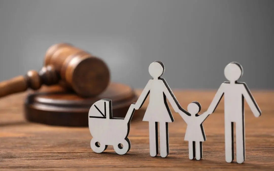 DWLS guardianship minor