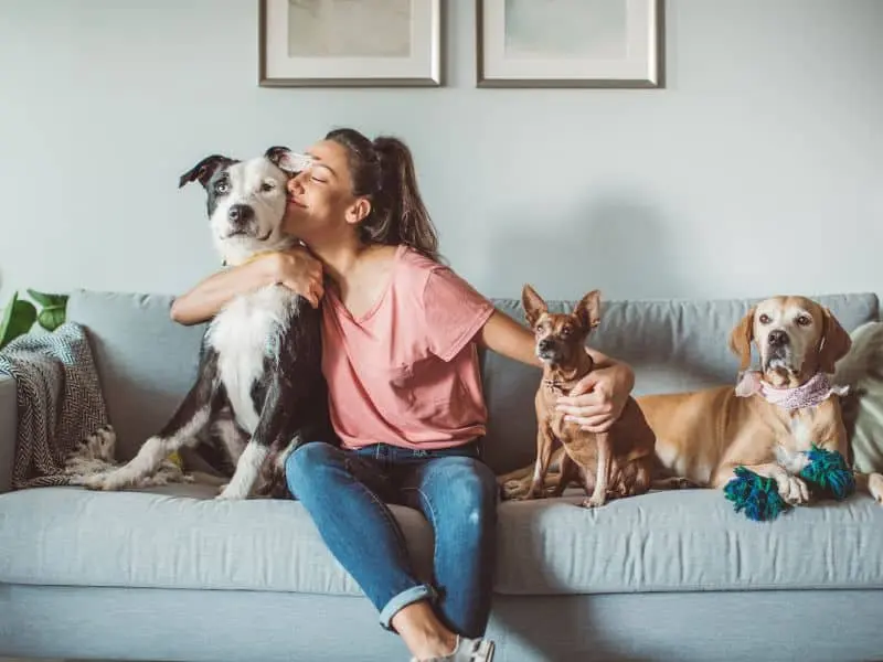 Homeowner cuddling with her three dogs on her couch