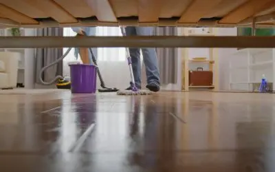 6 Hardwood Maintenance Tips for Apex Homes