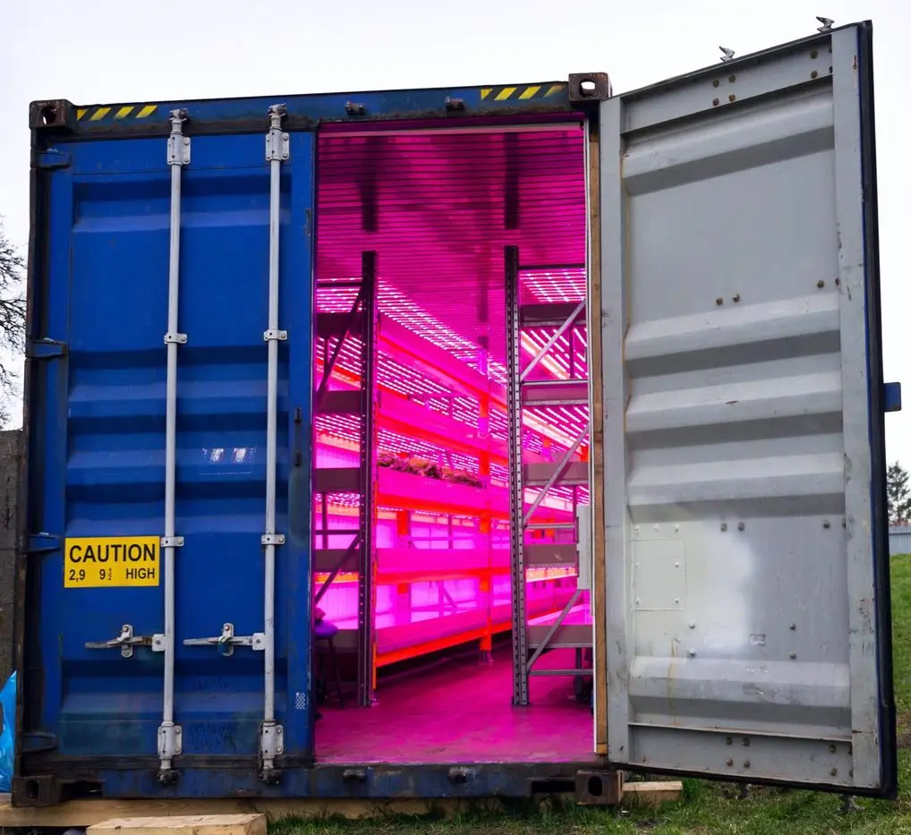 Carolina Containers custom storage containers | Carolina Containers & Transport Carolina Containers custom storage containers