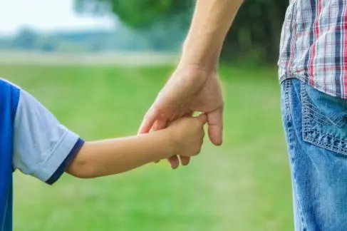 child custody support adoptions 1
