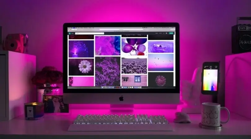 What Do You Need To Know Before Hiring A Web Developer?